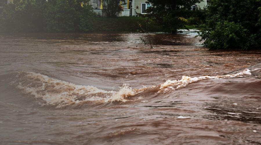 Why choose water damage restoration service for commercial water damage restoration in San Francisco